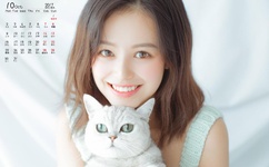 擒爱记迅雷下载